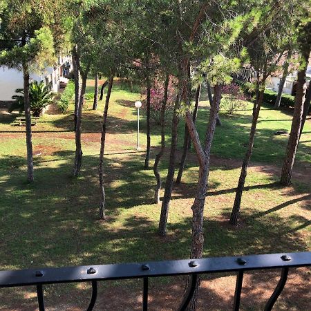 Studio 150M De La Mer Argelès-sur-Mer Zewnętrze zdjęcie