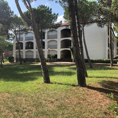 Studio 150M De La Mer Argelès-sur-Mer Zewnętrze zdjęcie